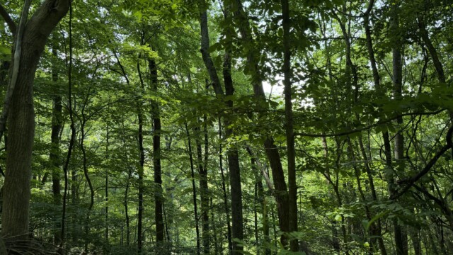 Recreational Tract
