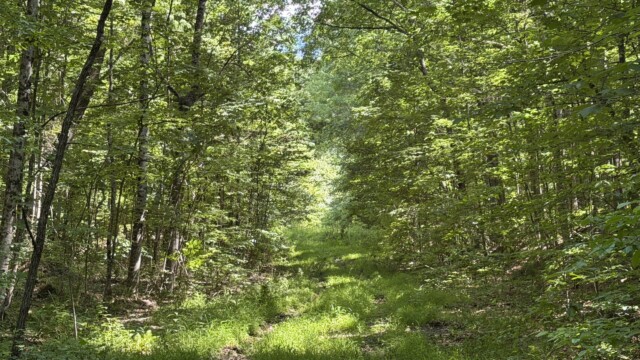 Recreational Tract
