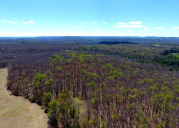 Tract 16 Looking Towards Tract 19