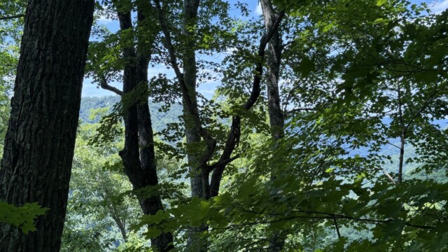 Recreational Tract