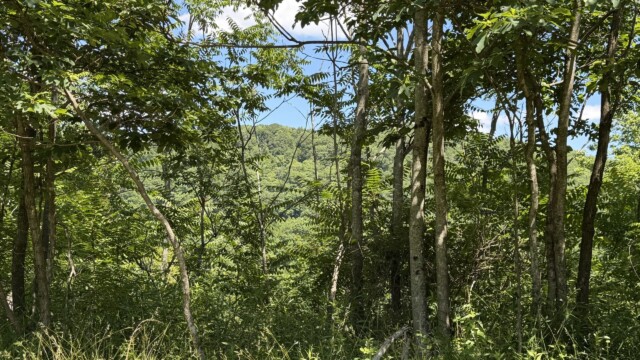 Recreational Tract