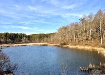Tract 9