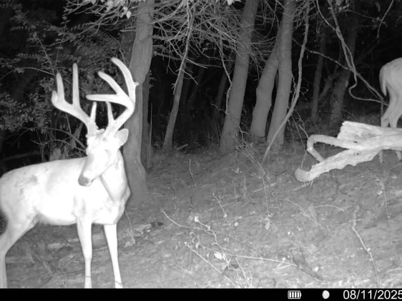 Ellett Big 8