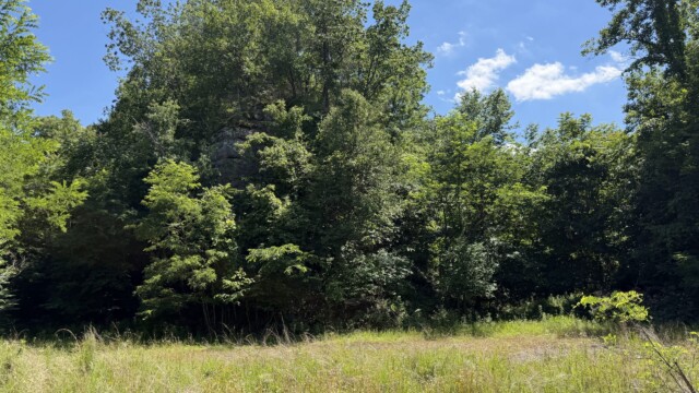 Recreational Tract
